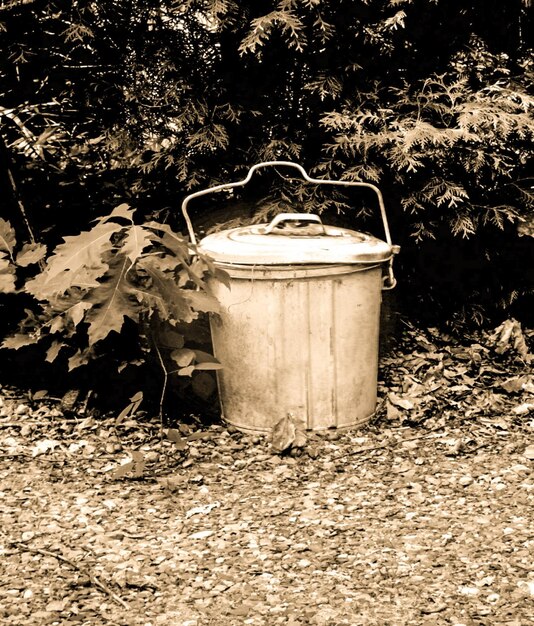 Foto antiguo recipiente abandonado por las plantas