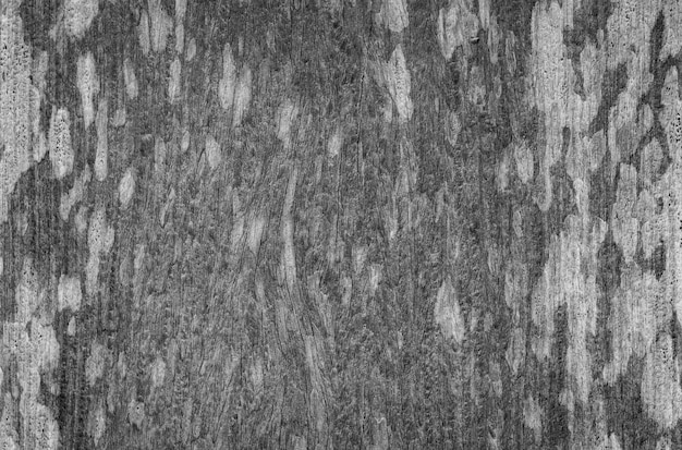 Antiguo suelo de madera en blanco y negro tallos de textura áspera para el fondo