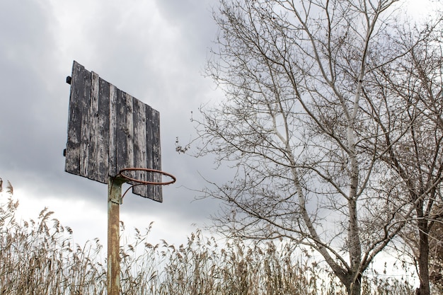 Antiguo tablero de baloncesto y cesta. Tablero de baloncesto abandonado en un fondo de árboles.