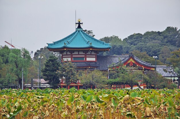 El antiguo templo en el centro de la ciudad, Tokio, Japón