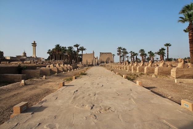 Antiguo templo de Luxor en la ciudad de Luxor, Egipto