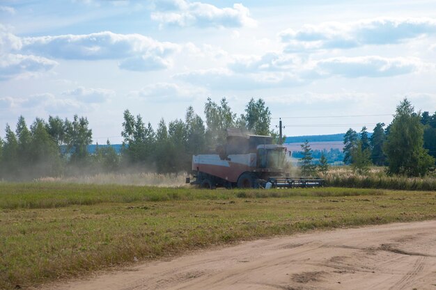 Antiguo tracktor arados la cosechadora de campo cosecha trigo de un campo agrícola sembrado