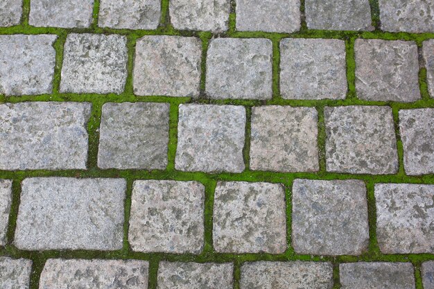 Antiguos adoquines con césped en la zona histórica de Praga. Fotografía de cerca