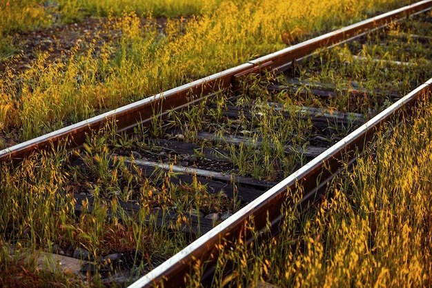 Antiguos rieles de ferrocarril en la estepa