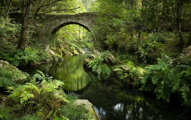 Foto antike römische brücke über den fluss polea in villayon asturien spanien