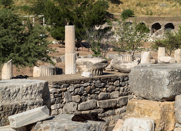 Antike Ruinen der alten griechischen Stadt Ephesus