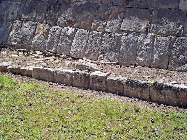 Antike Ruinen von Maya Chichen Itza Yucatan Mexiko