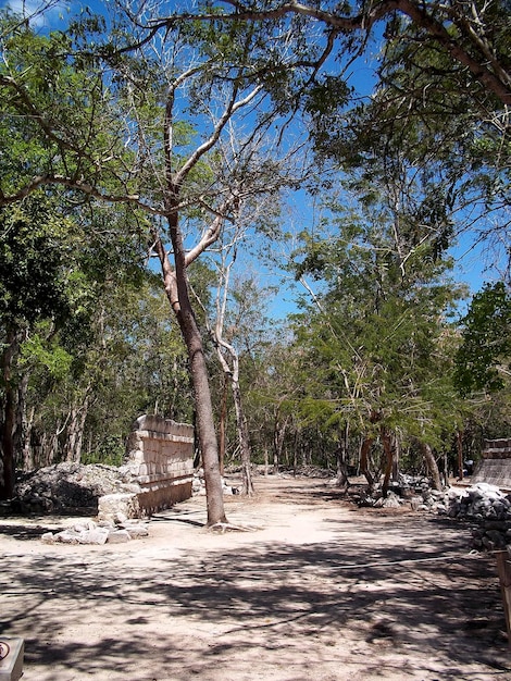 Antike Ruinen von Maya Chichen Itza Yucatan Mexiko