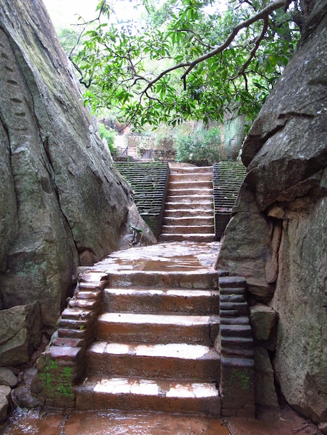 Antike Ruinen von Sigiriya, Sri Lanka