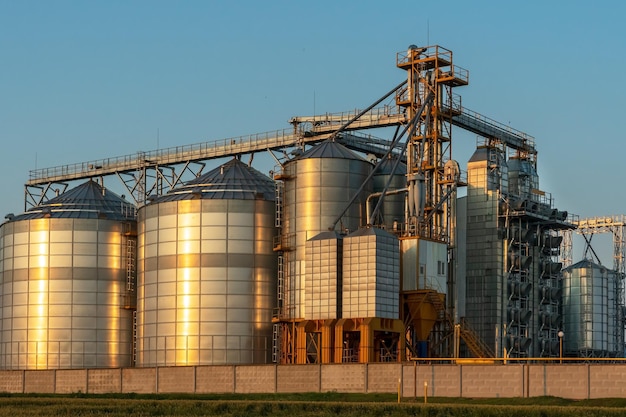 Ao lado de um campo agrícola de trigo instalou silos de prata na planta de fabricação agro para processamento de secagem limpeza e armazenamento de produtos agrícolas farinha de cereais e grãos Elevador de celeiro