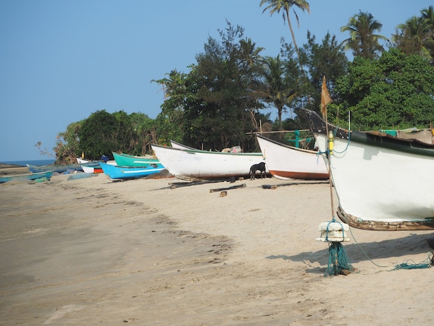 Ao longo da costa, na areia, encontram-se muitos barcos de pesca. Pesca na Índia