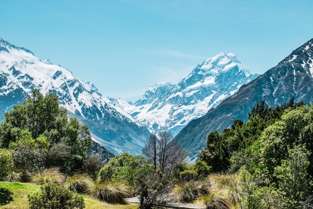 aoraki mount cook a montanha mais alta da nova zelândia