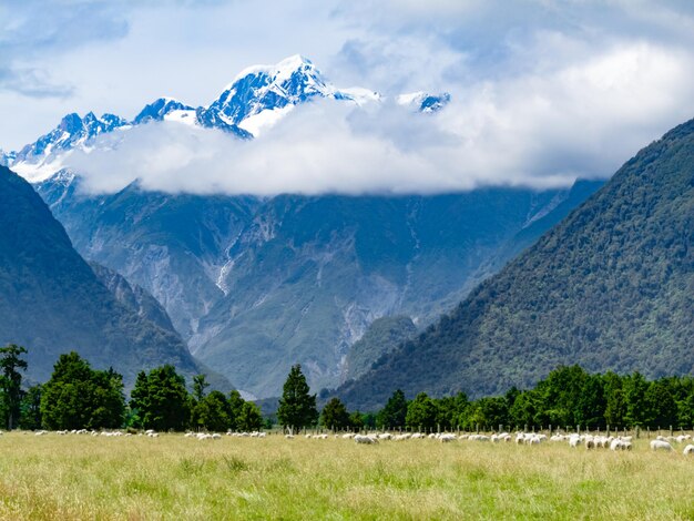 Aoraki Mt Cook pico mais alto dos Alpes do Sul NZ