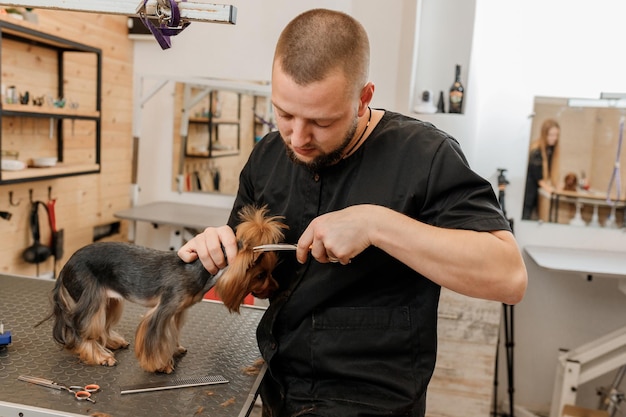 Aparador masculino profissional fazendo corte de cabelo de cachorro yorkshire terrier no salão de beleza com equipamento profissional