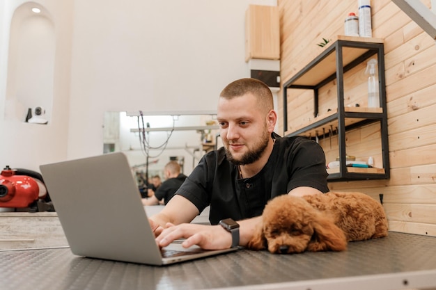 Aparador masculino profissional trabalhando no laptop em seu local de trabalho no salão de beleza perto com o cão poodle conceito de aliciamento de animais