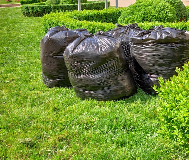 Aparas de grama fresca em sacos no saco de lixo de grama verde no gramado