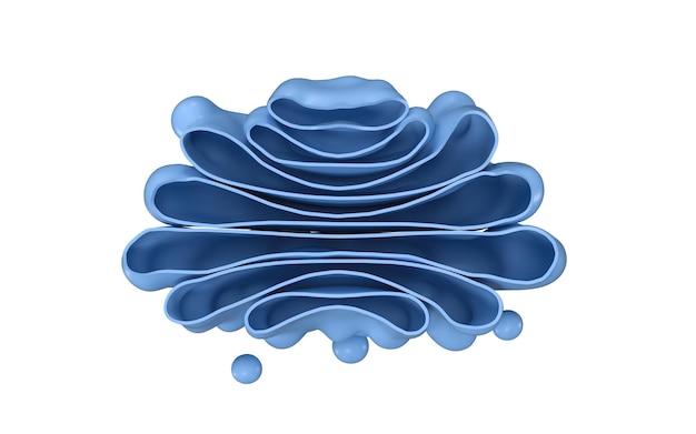 Aparato de Golgi de la celda vista de primer plano representación 3d