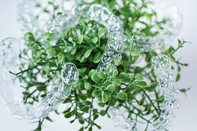 Foto aparatos dentales de plástico para enderezar los dientes colgados de hojas verdes de plantas de interior