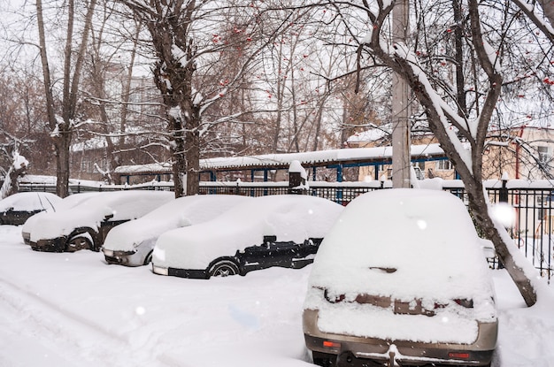 Aparcados coches cubiertos de nieve en el patio por la mañana nublada de invierno.