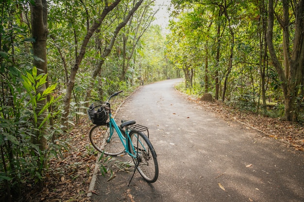 Un aparcamiento de bicicletas en la carretera vacía en el bosque.