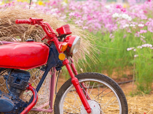 Aparcamiento de motos en el campo de flores.