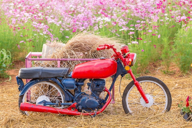 Aparcamiento de motos en el campo de flores.