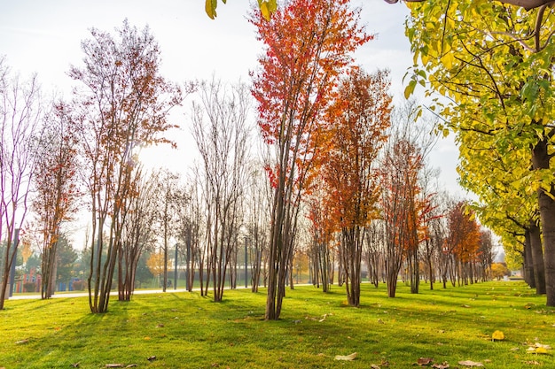 Aparcar durante la temporada de otoño