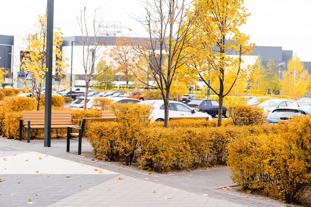 Apartmentgebäudekomplex in der Herbstsaison mit bunten Herbstblättern.