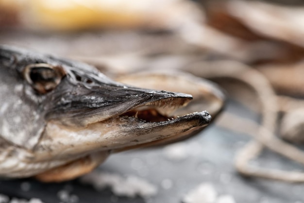 Aperitivo de peixe lúcio seco salgado para cerveja