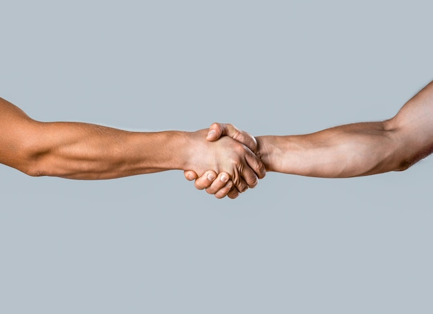 Aperto de mão de negócios e conceitos de pessoas de negócios Dois homens apertando as mãos isoladas em fundo cinza Closeup imagem de um aperto de mão firme entre dois colegas Apertos de mão Apertando as mãos dois homens