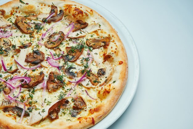 Apetitosa pizza italiana al horno con salsa de crema, cebolla y champiñones en un plato blanco aislado sobre fondo gris