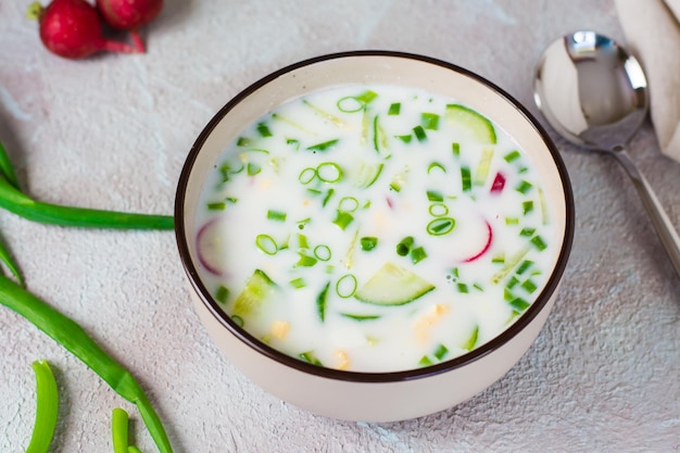 Foto apetitosa sopa fria tradicional russa com legumes e kefir em uma tigela comida caseira