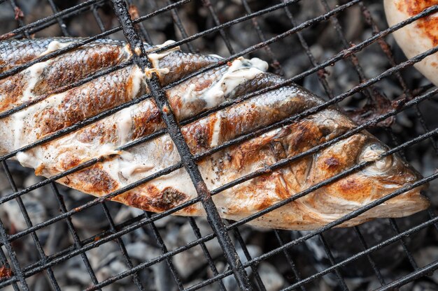 Apetitoso peixe sibas grelhando no conceito de descanso de verão de churrasco