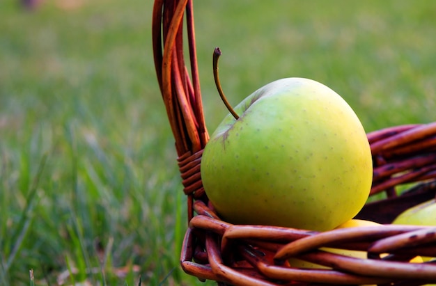 Foto apfel im korb