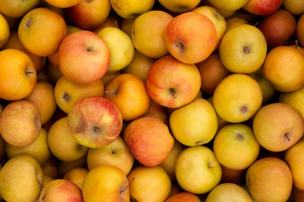 Apfel textur, frische reife rote äpfel als hintergrund. apfelernte. viele äpfel.