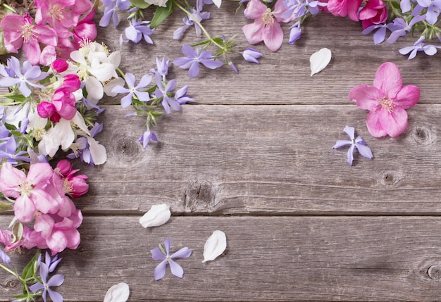 Apfelblumen auf hölzernem Hintergrund