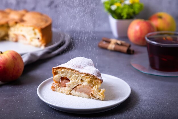 Apfelkuchen Charlotte mit Zuckerpulver traditioneller Kekskuchen mit Äpfeln und Zimt