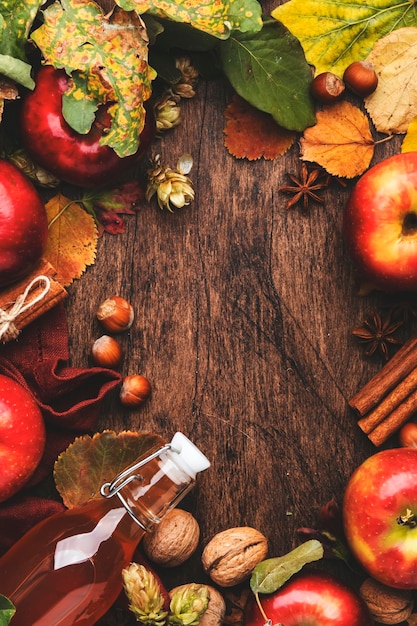 Apfelweinflasche mit Zimtstangen, Nelken und Anis auf Holzhintergrund Traditionelles Herbst-Winter-Getränk und Cocktail-Draufsicht