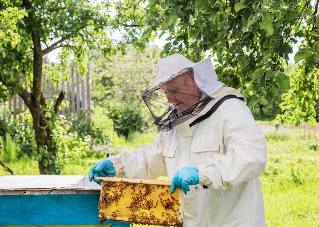 Apicultor con abejas al aire libre