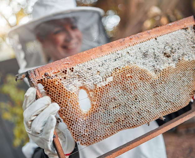 Apicultor apícola e produção de mel com favo de mel e mulher em traje de segurança com processo orgânico cru Abelhas de produtos naturais e agricultor natural e apicultura para alimentos sustentáveis