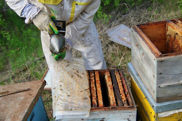 apicultor de luvas e fantasia de apicultor verifica colmeias com abelhas, prepara-se para a coleta de mel, cuida de armações com favos