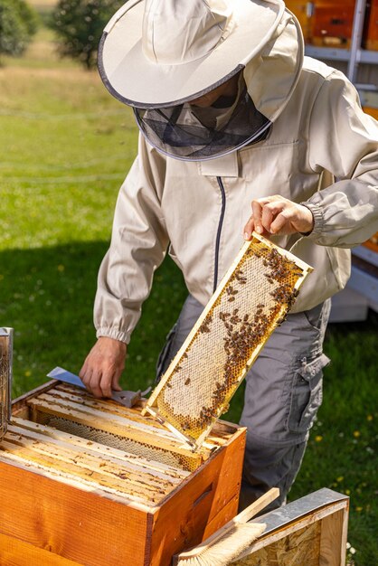 Apicultor em vestuário de proteção trabalhando coleta mel Conceito de apicultura