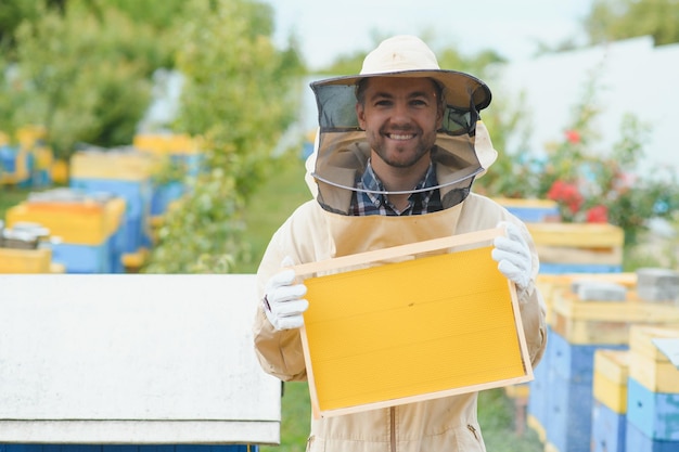 Apicultor está trabajando con abejas y colmenas en apiario Abejas en panal Marcos de colmena de abejas Apicultura Miel Alimentos saludables Productos naturales