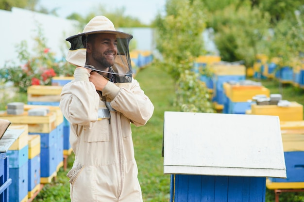 Apicultor está trabajando con abejas y colmenas en apiario Abejas en panal Marcos de colmena de abejas Apicultura Miel Alimentos saludables Productos naturales