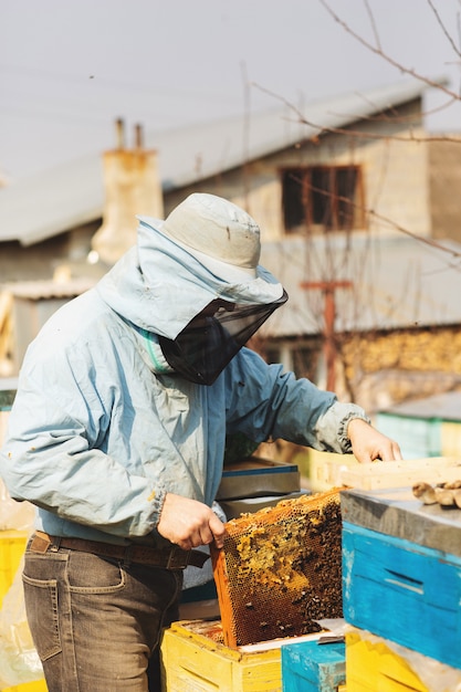 Apicultor está trabajando con abejas e inspeccionando la colmena de abejas después del invierno