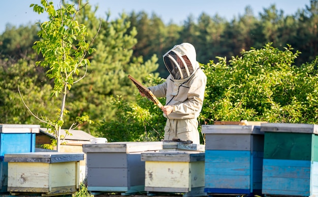 Apicultor exitoso trabajando con colmenas Cultivo de miel de verano agrícola