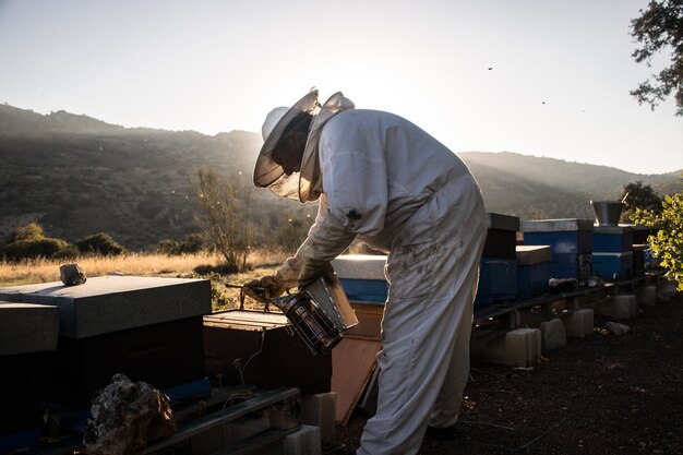 Foto apicultor extrayendo miel de panales de abejas