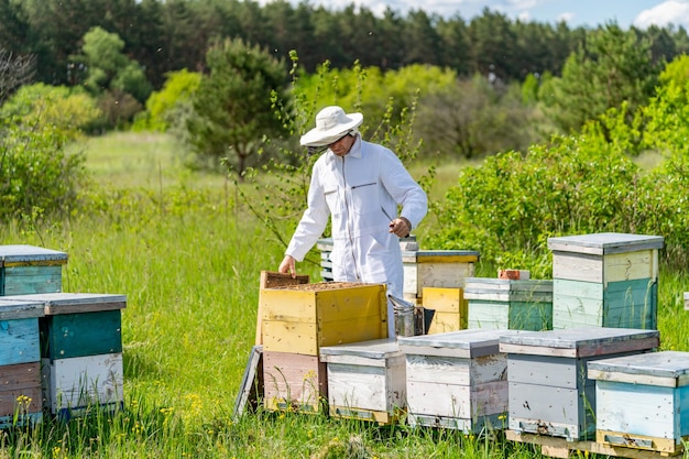 Apicultor guapo trabajando con colmenas de madera Apicultor en traje de protección trabajando con abejas