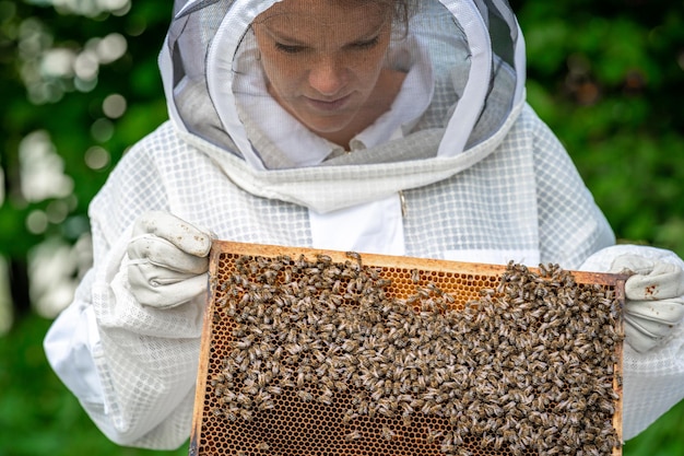 Apicultor inspeciona abelhas em uma roupa de proteção