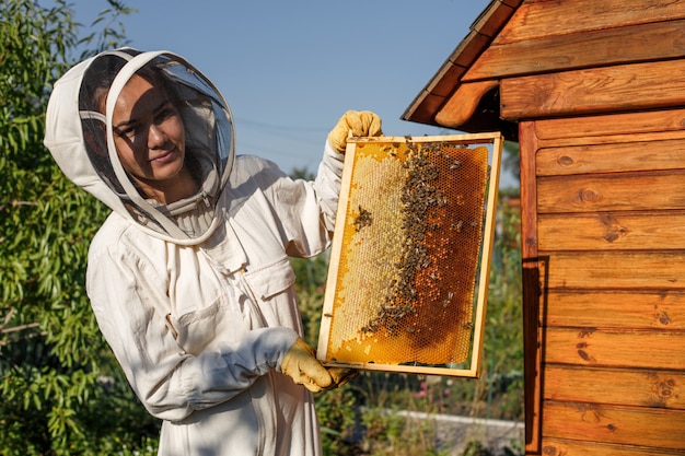 Apicultor joven sostenga marco de madera con nido de abeja